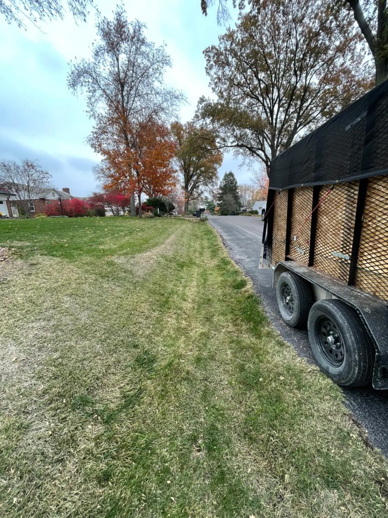 After curbside leaf removal service in St. Charles County, Missouri, showing a clean roadside following professional cleanup by Cut For The Cure Lawncare.