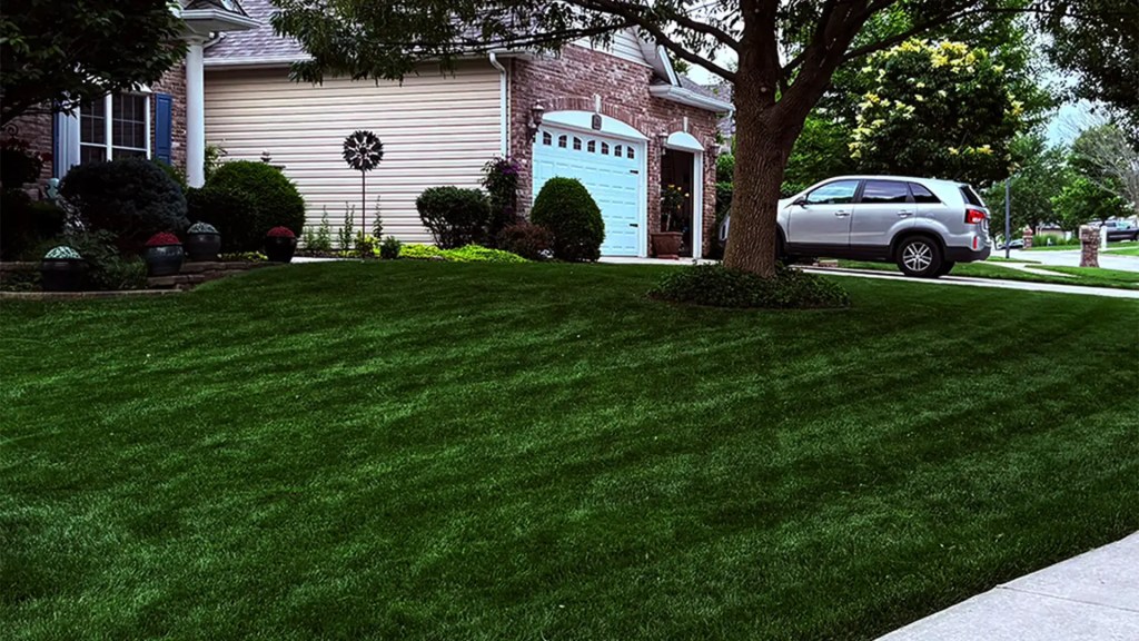Professionally maintained residential lawn showing improved curb appeal in St. Charles County, Missouri
