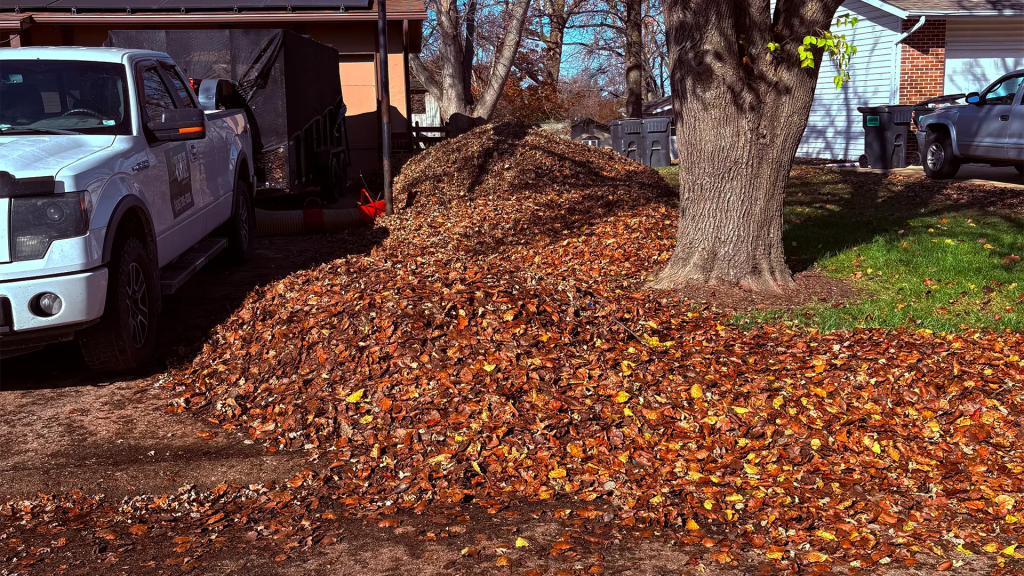Heavy leaf piles before professional leaf removal in St. Charles County, Missouri