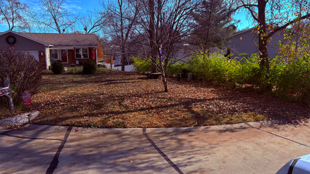 Heavy leaf coverage across front yard before professional leaf removal in St. Charles County, Missouri